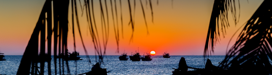 Choses à faire à Phan Thiet