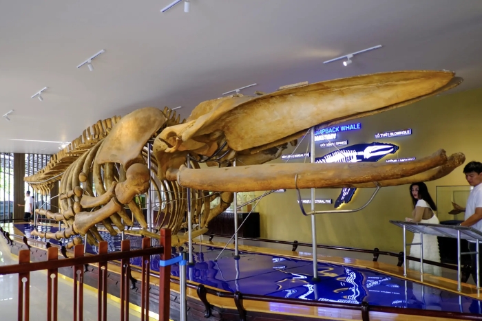 Visitez l'Institut Océanographique - que faire à Nha Trang en 2 jours ?