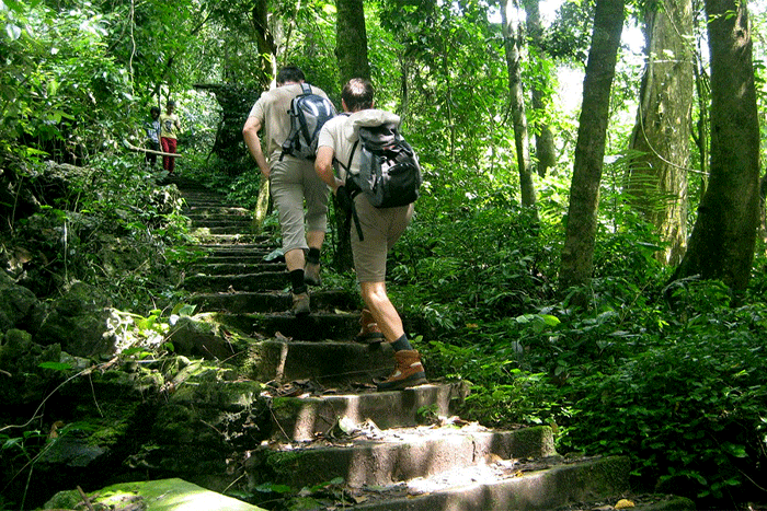 Parc national de Cuc Phuong