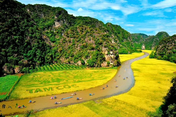 Les paysages embl&eacute;matiques de Tam Coc en saison des r&eacute;coltes