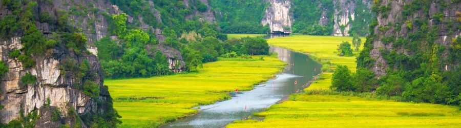 Balade en bateau &agrave; Tam Coc, un voyage paisible entre eau, roche et rizi&egrave;res 