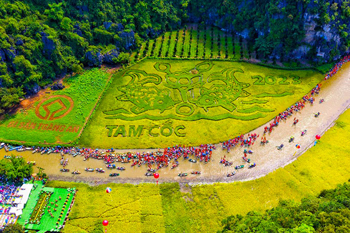 La beauté de Trang An pendant la saison du riz mûr