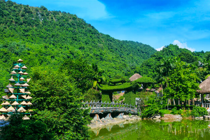 Jardin d'oiseaux de Thung Nham Ninh Binh entouré par la nature verte