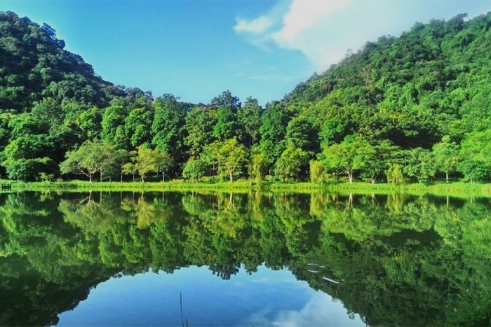 Le Parc national de Cuc Phuong