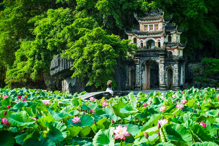 La saison de la floraison des lotus rend le paysage autour de la pagode Bich Dong vraiment pittoresque