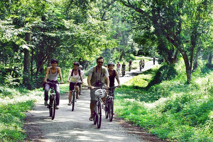 Cyclisme en forêt dans votre excursion d'une journée à Ninh Binh
