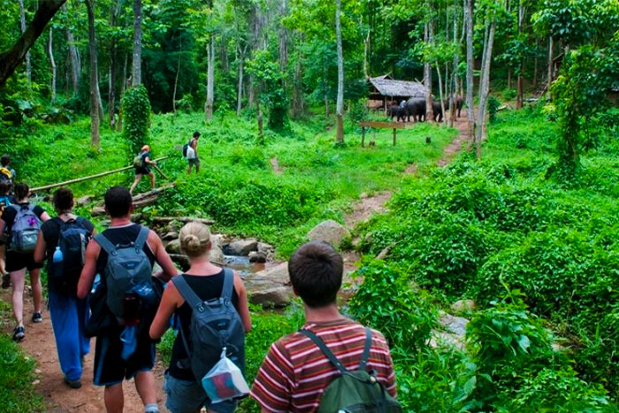 Randonnée à Ninh Binh : Ne faire qu'un avec la nature