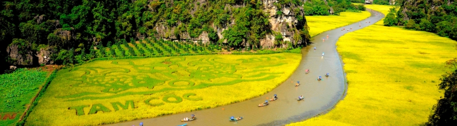 Que faire à Tam Coc Ninh Binh en novembre?