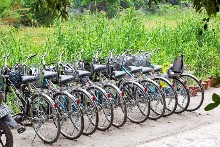 La plupart des h&ocirc;tels et homestays &agrave; Tam Coc proposent des v&eacute;los &agrave; louer