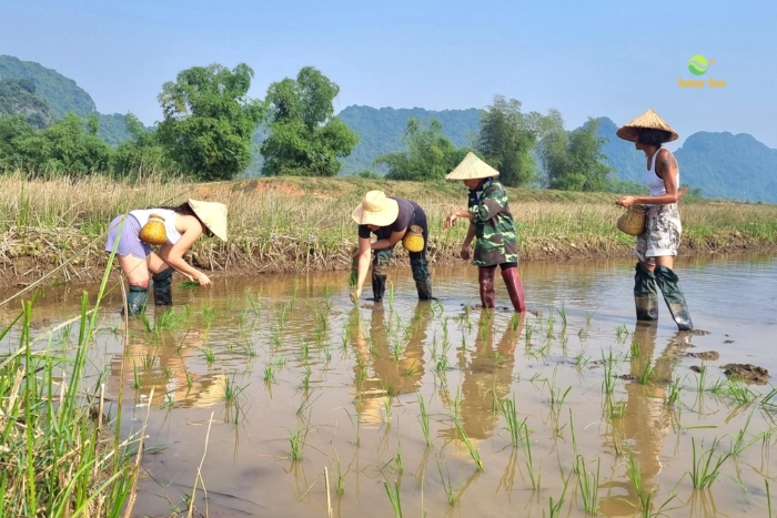 Immersion dans la vie paysanne, au rythme des saisons et des sourires à Tam Coc