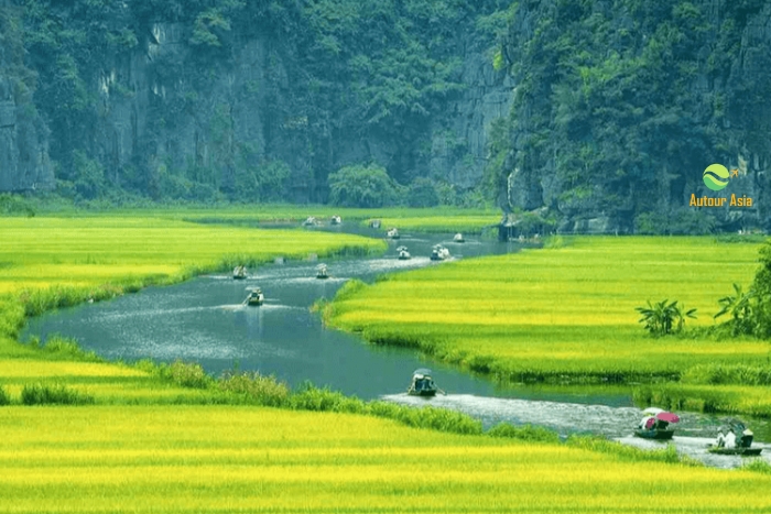 Beauté paisible de Tam Coc, perle cachée du nord du Vietnam