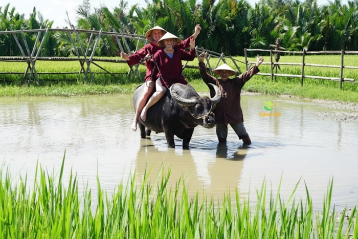 Une expérience authentique: Balade à dos de buffle au cœur des rizières de Tam Coc