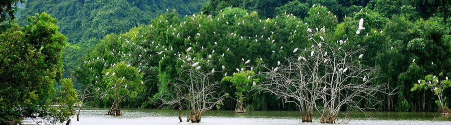 Carte Tam Coc Ninh Binh - Guide complet et Itin&eacute;raires