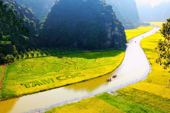 Balade en barque paisible à Tam Coc