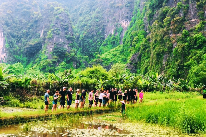 Découverte de la culture du riz traditionnelle à Ninh Binh