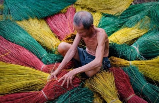 Que Faire à Ninh Bình ? Visite Du Village De Tissage De Carex Kim Sơn Ninh Bình
