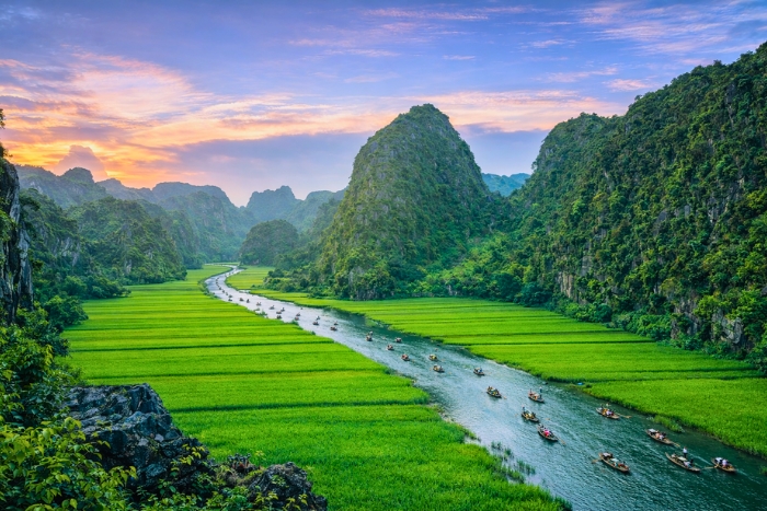 Vue relaxante sur les rizières de Tam Coc au cœur du printemps