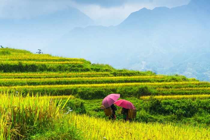 Randonnée autour de Bac Ha Sapa