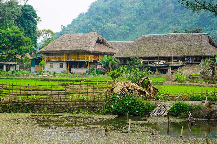Village de Thon Tha