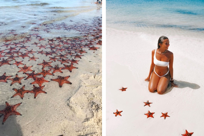 La plage de Sao est parsem&eacute;e de nombreuses &eacute;toiles de mer rouges le long de son sable fin et immacul&eacute;