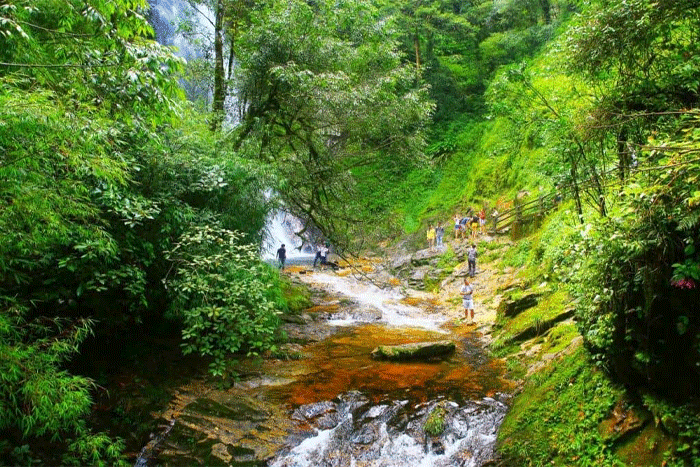 Parc national de Phu Quoc