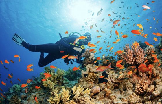 Itinéraire 3 Jours à Phu Quoc: Avis Ditinéraire 3 Jours Par M. Alexis