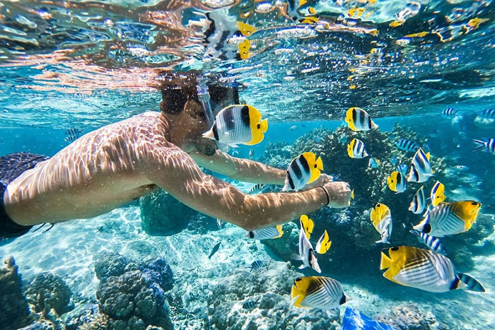 Les meilleures choses à faire à Phu Quoc