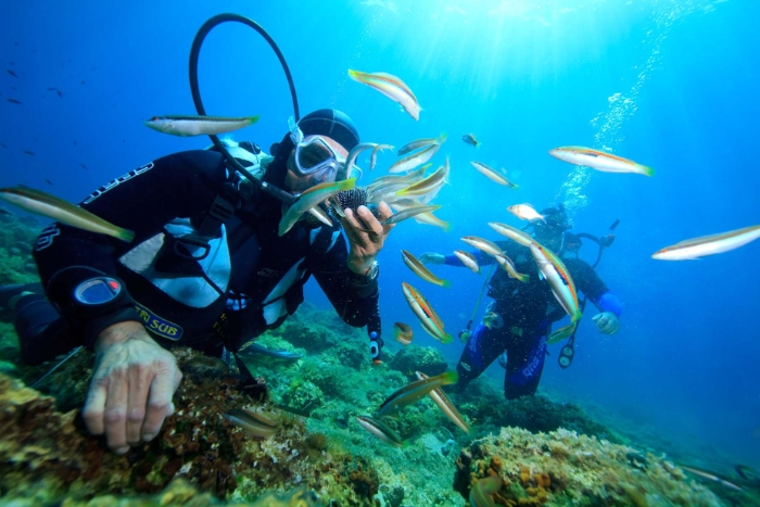 Apprendre la plongée sous-marine et obtenir un certificat à Phu Quoc