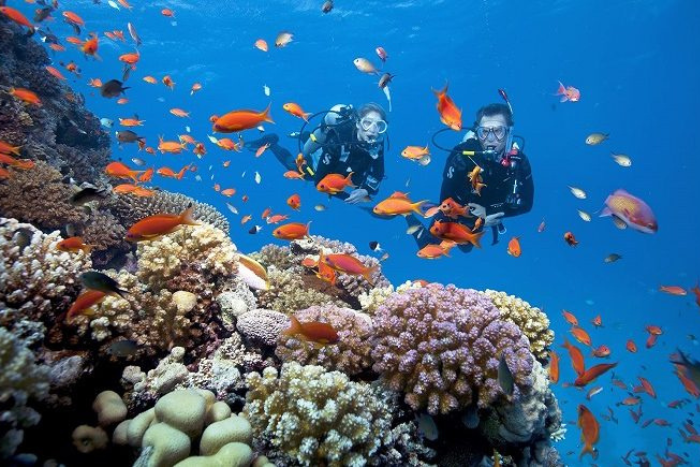 Que faire à Phu Quoc? Ne manquez pas une plongée autour des récifs coralliens de l’archipel d’An Thoi