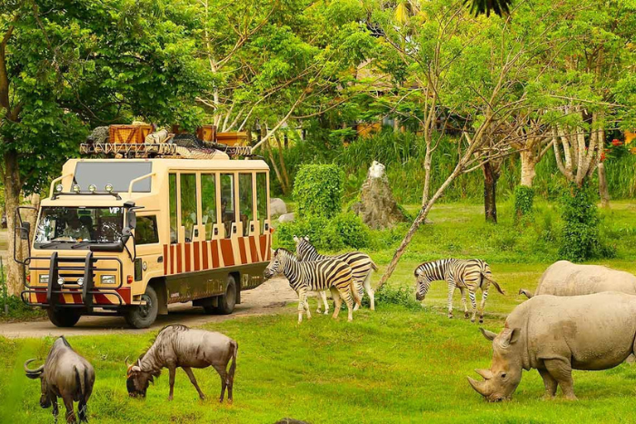 Si vous cherchez des activités à faire à Phu Quoc avec des enfants, vous pouvez visiter Vinpearl Safari pour observer les animaux sauvages