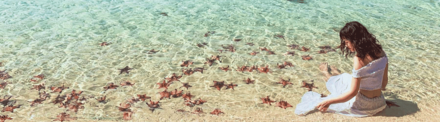 Observer les étoiles de mer à la plage de Sao est l'une des choses à faire à Phu Quoc en novembre