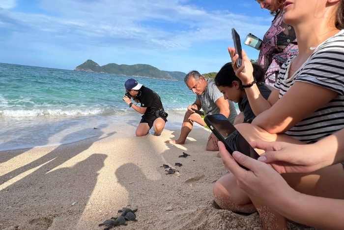 Phu Quoc ou Con Dao ? Con Dao est bon pour &eacute;cotourisme