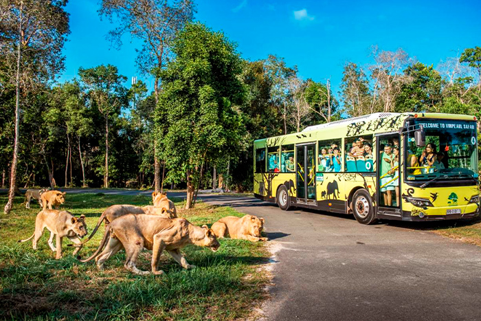 Visitez Vinpearl Safari Phu Quoc