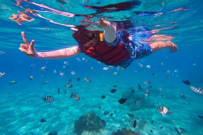 Nha Trang - découverte d’une biodiversité marine exceptionnelle