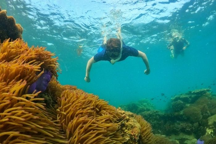 Phu Quoc - l’un des meilleurs sites de plongée du Vietnam