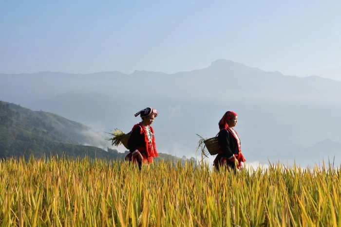 Le Vietnam a été élu destination durable leader d’Asie 2021 par World Travel Awards