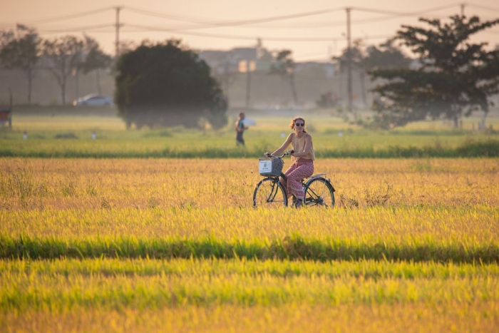 Balade à vélo à travers les rizières de Hoi An