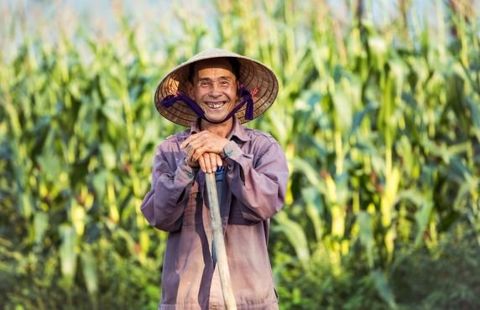 Quel Est Le Prix Pour Un Circuit Agricole Au Vietnam ?