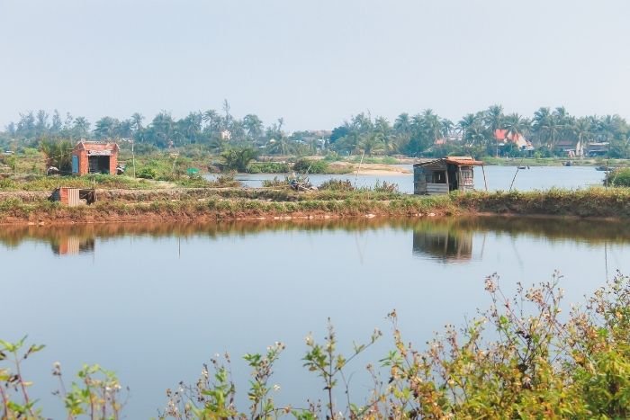 Tra Que est un petit village maraîcher situé à quelques kilomètres de Hoi An