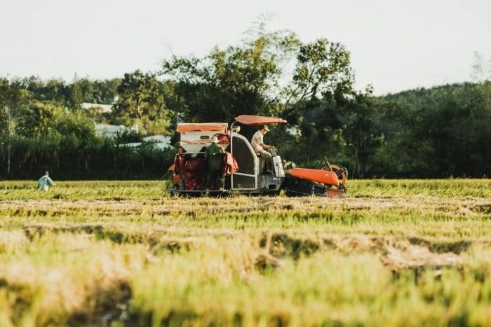 Le travail agricole devient une porte d’entrée pour comprendre les habitudes et le quotidien des familles locales