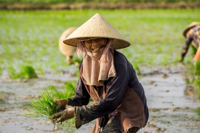 Un circuit agricole est l&rsquo;occasion de d&eacute;couvrir les gestes simples qui rythment la vie des campagnes vietnamiennes