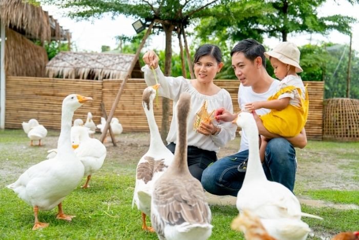 Un séjour à la ferme permet de passer du rôle de simple visiteur à celui de participant