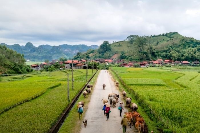 Le v&eacute;ritable int&eacute;r&ecirc;t d&rsquo;un circuit agricole r&eacute;side autant dans les &eacute;changes avec les habitants que dans les activit&eacute;s elles-m&ecirc;mes