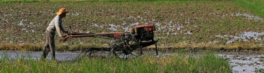 Participez aux travaux des champs et découvrez un Vietnam plus proche de la vie quotidienne de ses habitants