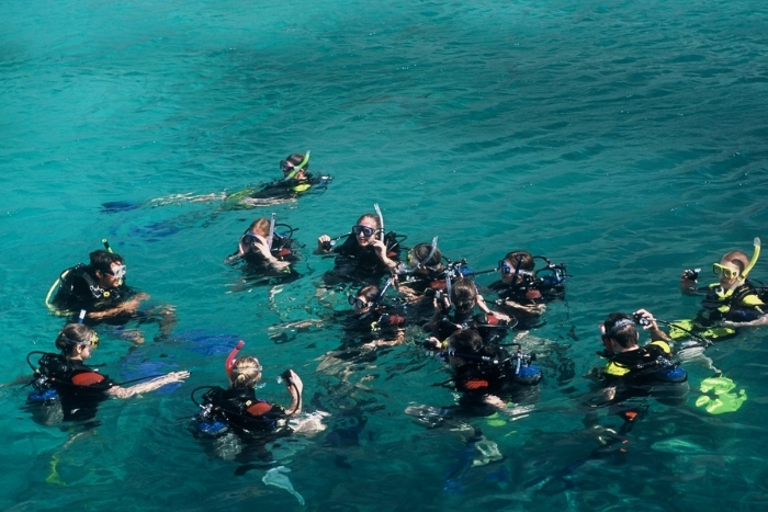 Snorkeling au nord Vietnam à la baie de Lan Ha