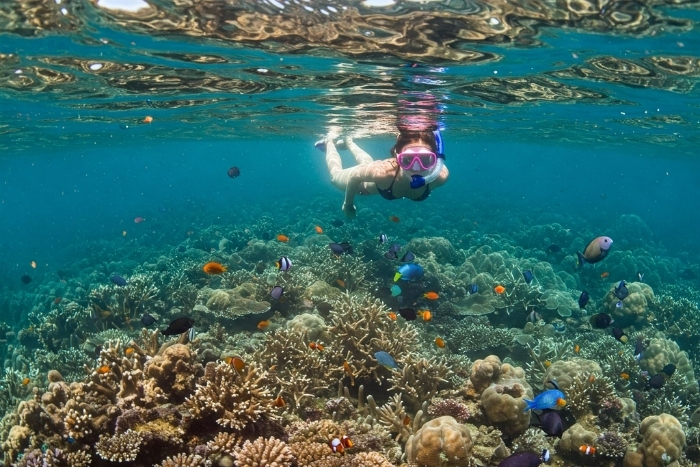 Snorkeling pas cher Vietnam à la baie d'Halong