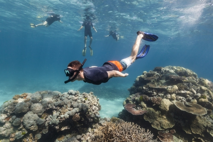 Quel matériel snorkeling au Vietnam faut-il préparer ?