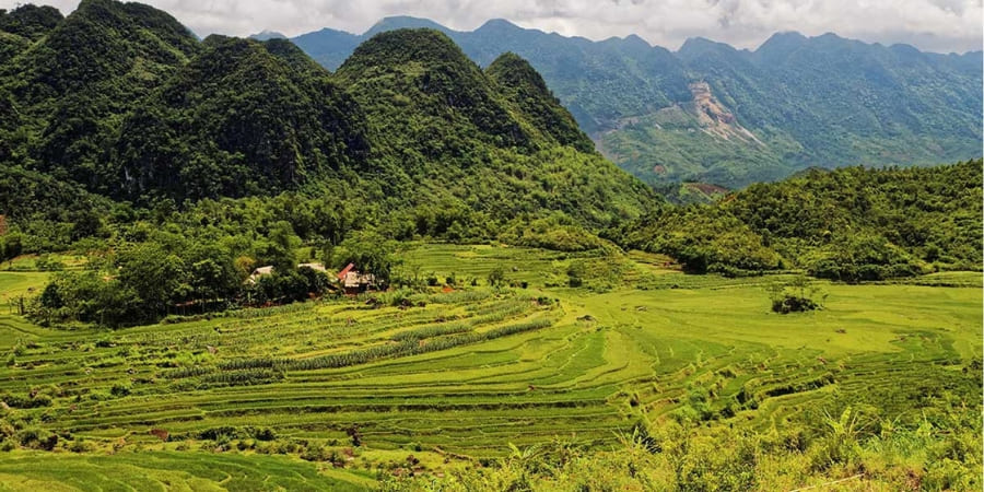 La réserve naturelle de Pù Luông