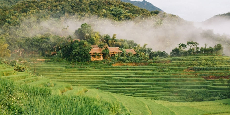 Scène de brume matinale à Pu Luong