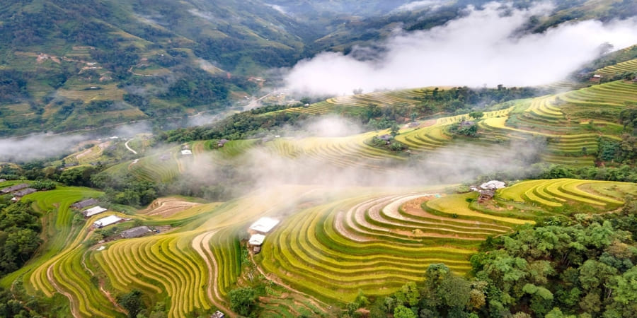 Les champs de riz en terrasse de Ban Hang